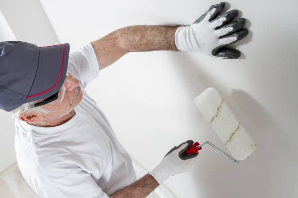 Best Air Quality Testing for Mold Spores  in Bottineau, ND