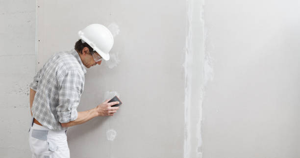 Best Mold Removal for HVAC Installations  in Bottineau, ND