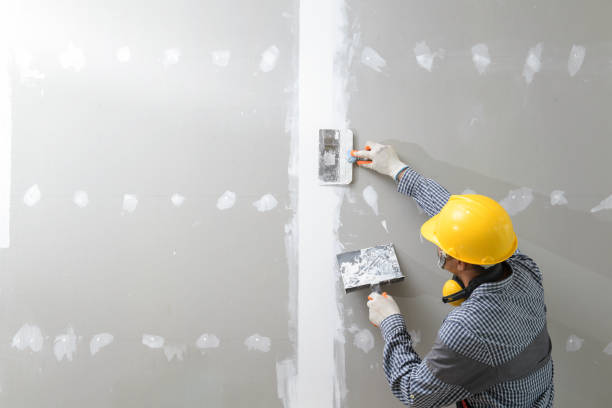 Trusted Bottineau, ND Mold Removal Experts