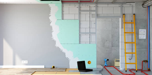 Best Attic Mold Removal  in Bottineau, ND