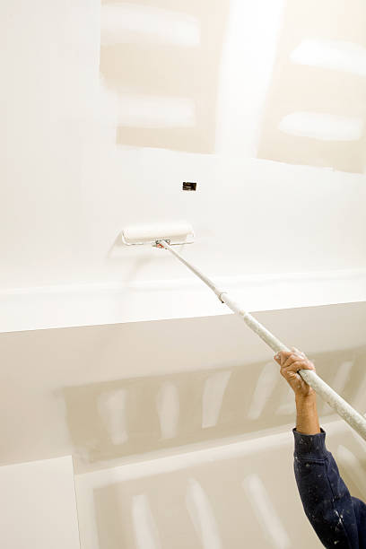 Best Mold Prevention Services  in Bottineau, ND