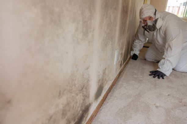 Best Post-Remediation Verification Testing  in Bottineau, ND