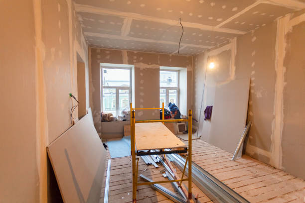 Best Environmental Consulting for Mold Prevention  in Bottineau, ND